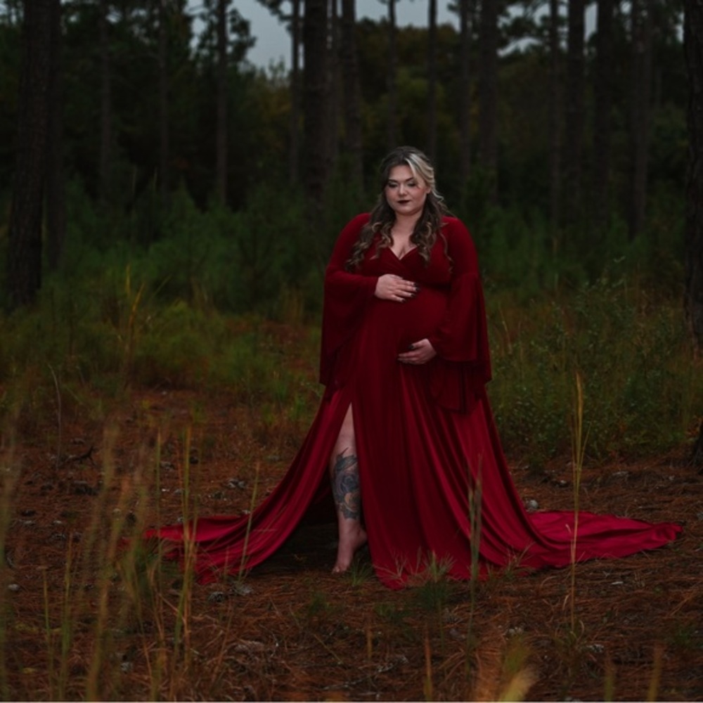 Silk Fairies Burgundy Maternity Gown